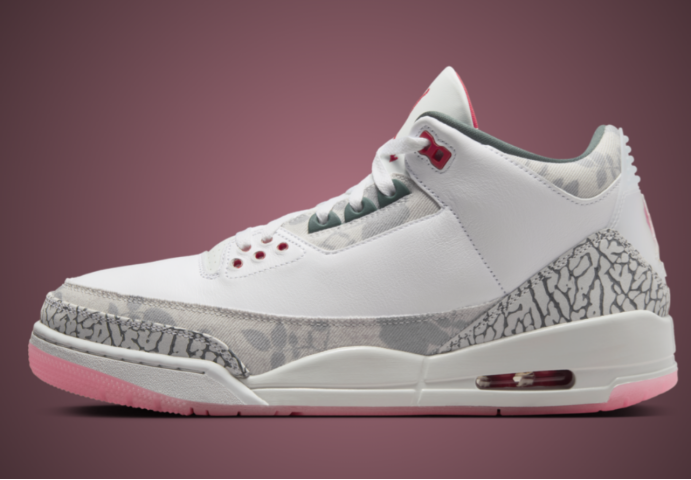 Air Jordan 3 Retro Wings: A Rose of Hope